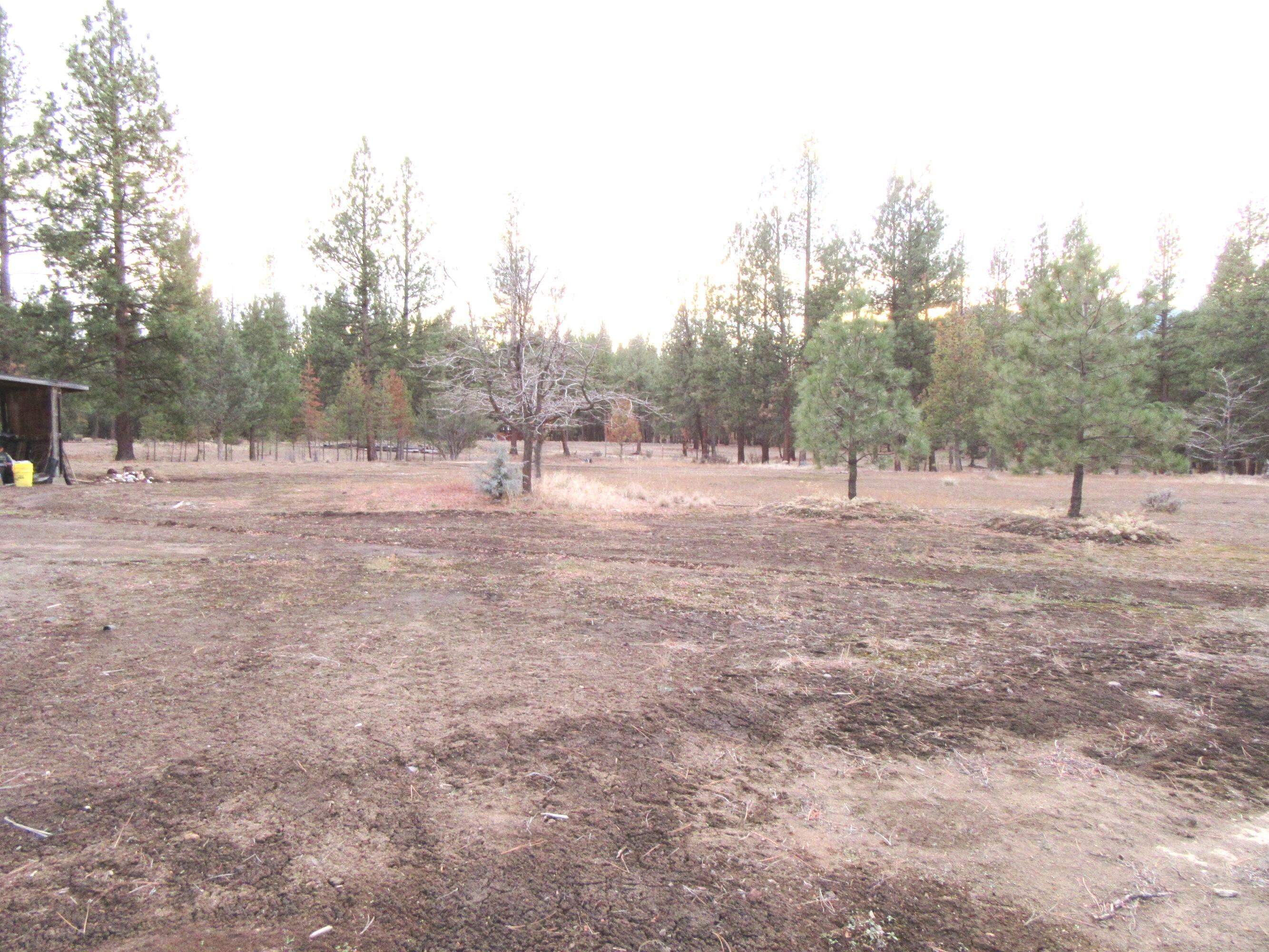 16144 Sprague River Road Chiloquin, OR 97624 - Photo 69 of 81 Land 3