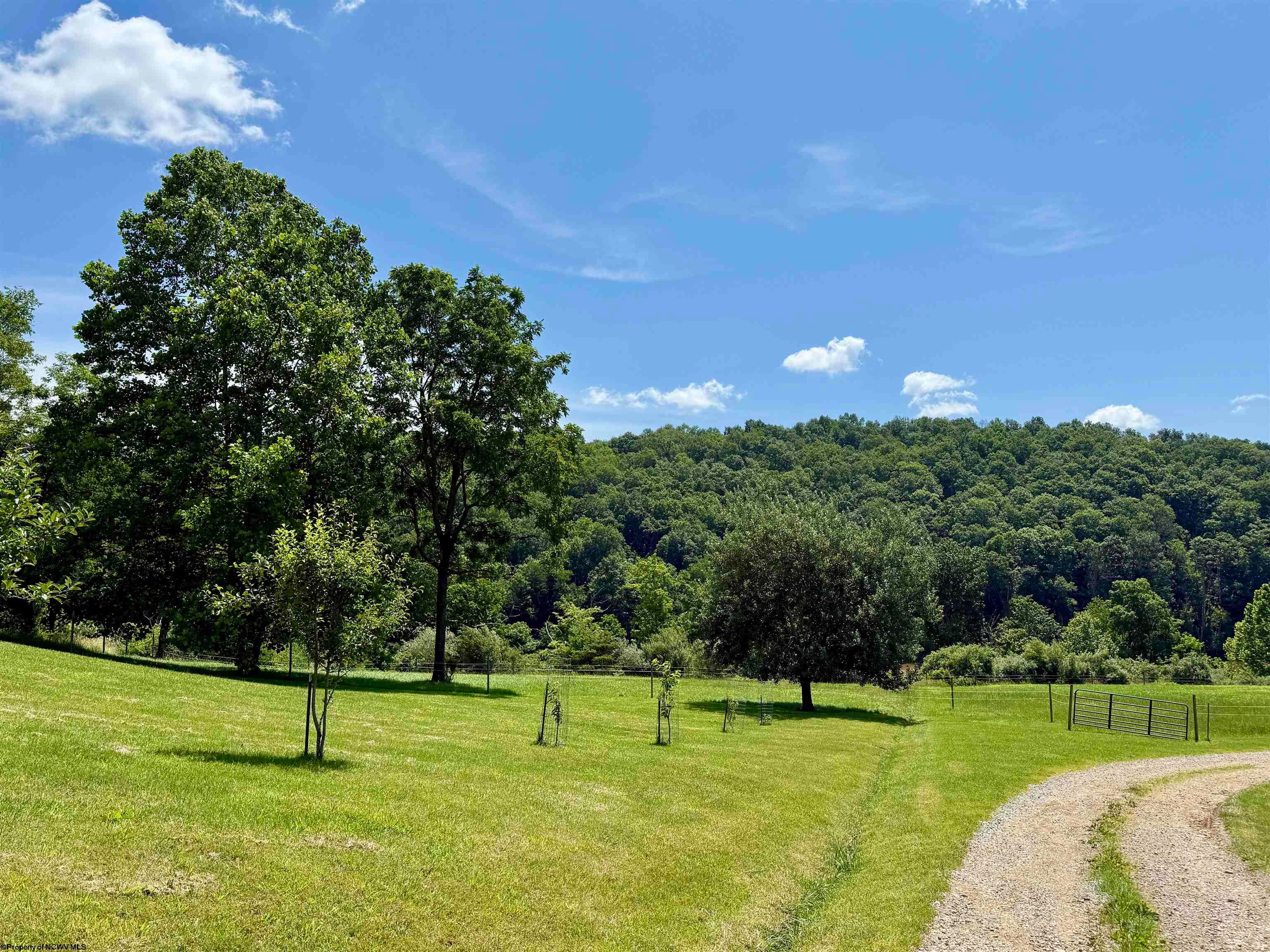 3170 Victory Ridge Road Harrisville, WV 26362 - Photo 49 of 50 Gallery Image 49