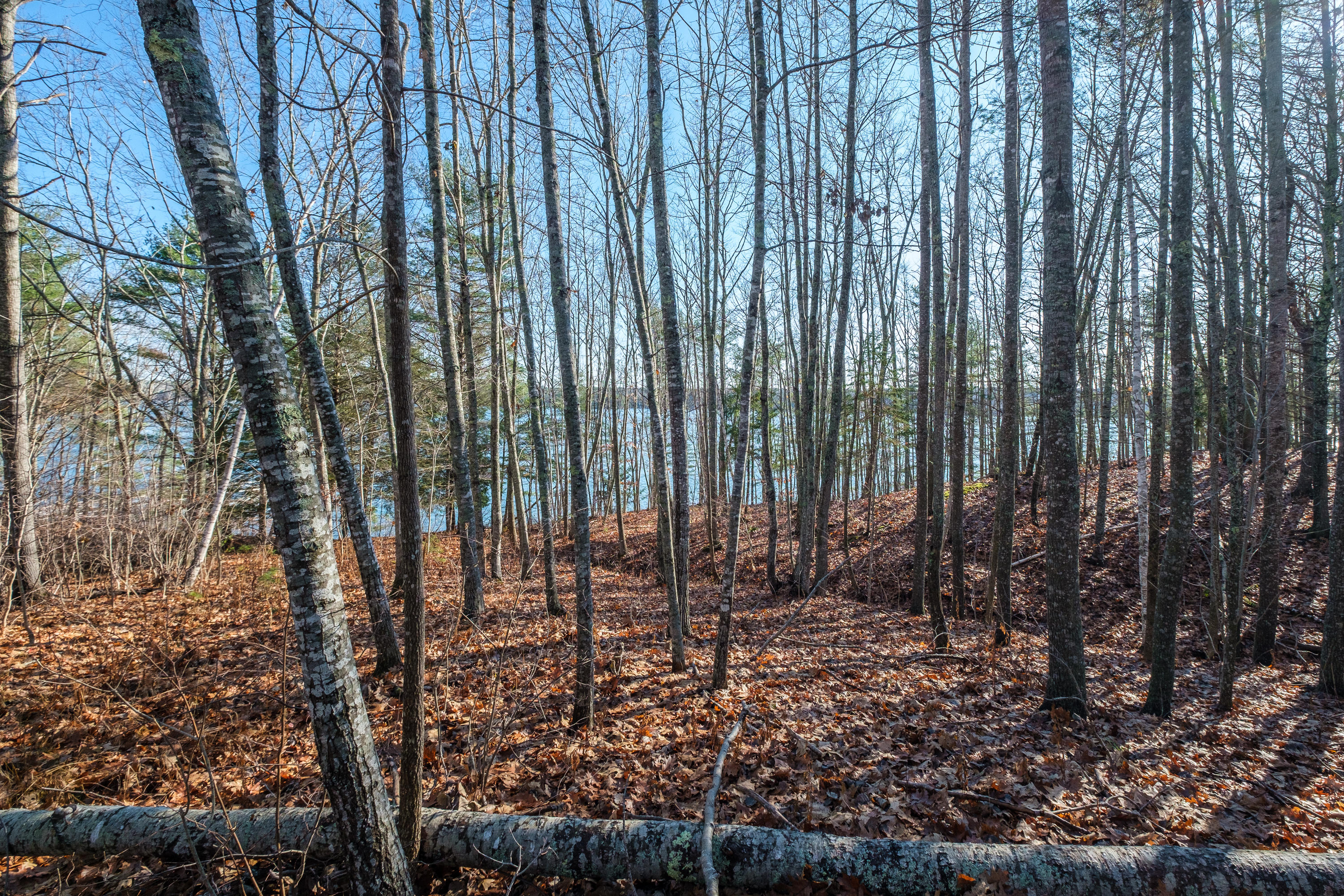 40 Brick Hill Road Edgecomb, ME 04556 - Photo 24 of 28 20201114_40_Brickhill_1233