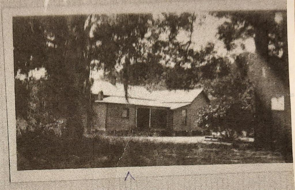 1985 Northeast 97th Street Road Anthony, FL 32617 - Photo 39 of 45