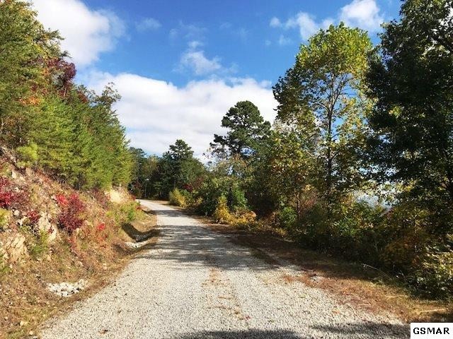 26 Bluff Mountain Road Sevierville, TN 37876 - Photo 4 of 11