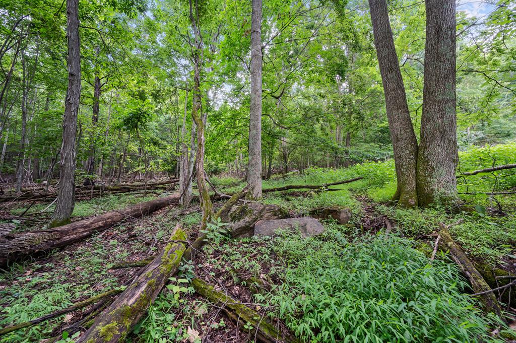 Lot G Springdale Road, Unit G Pearisburg, VA 24134 - Photo 35 of 62 Gallery Image 35