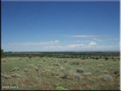 30342039 Alpine Ranch Flagstaff, AZ 86004 - Photo 1 of 1 Parcel View