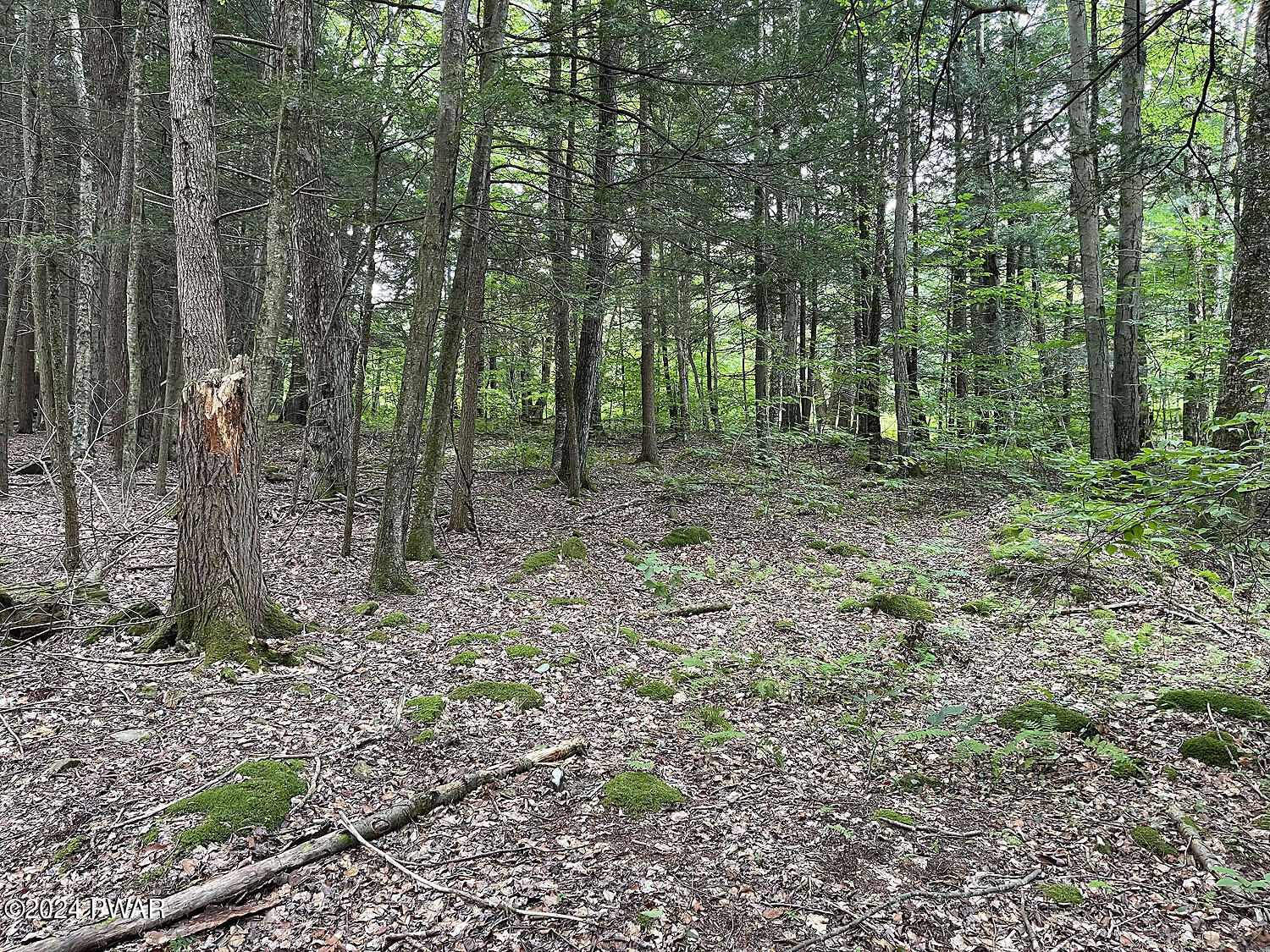 0 Rotten Road Equinunk, PA 18417 - Photo 10 of 20