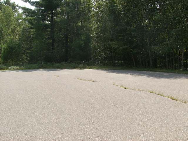 Lot 17 Finch Road Lake Tomahawk, WI 54539 - Photo 3 of 9 Gallery Image 3