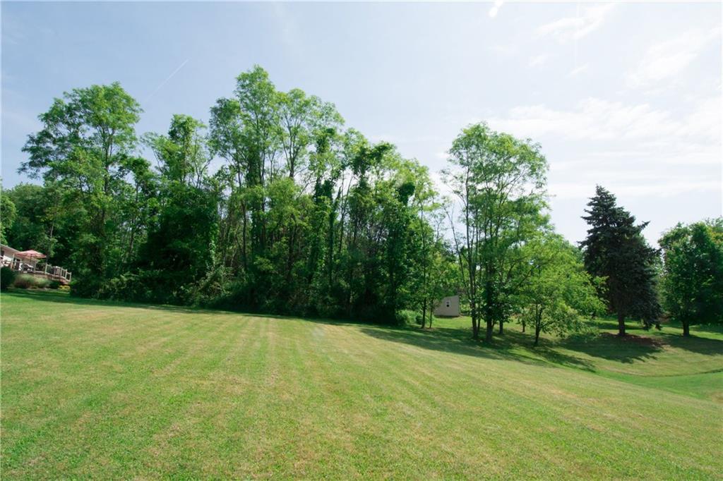 227 Fulton Road Canonsburg, PA 15317 - Photo 20 of 24 227 Fulton Road Yard