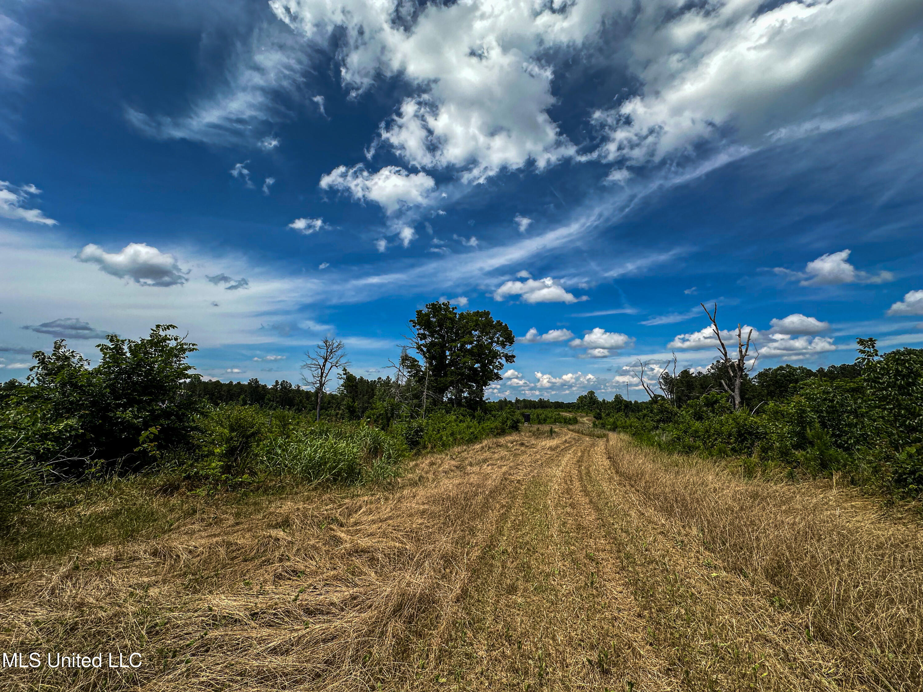 2 Garrett Creek Loop Pontotoc, MS 38863 - Photo 12 of 47 IMG_4598