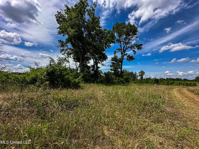 $547,286 | 2 Garrett Creek Loop, Pontotoc, MS 38863