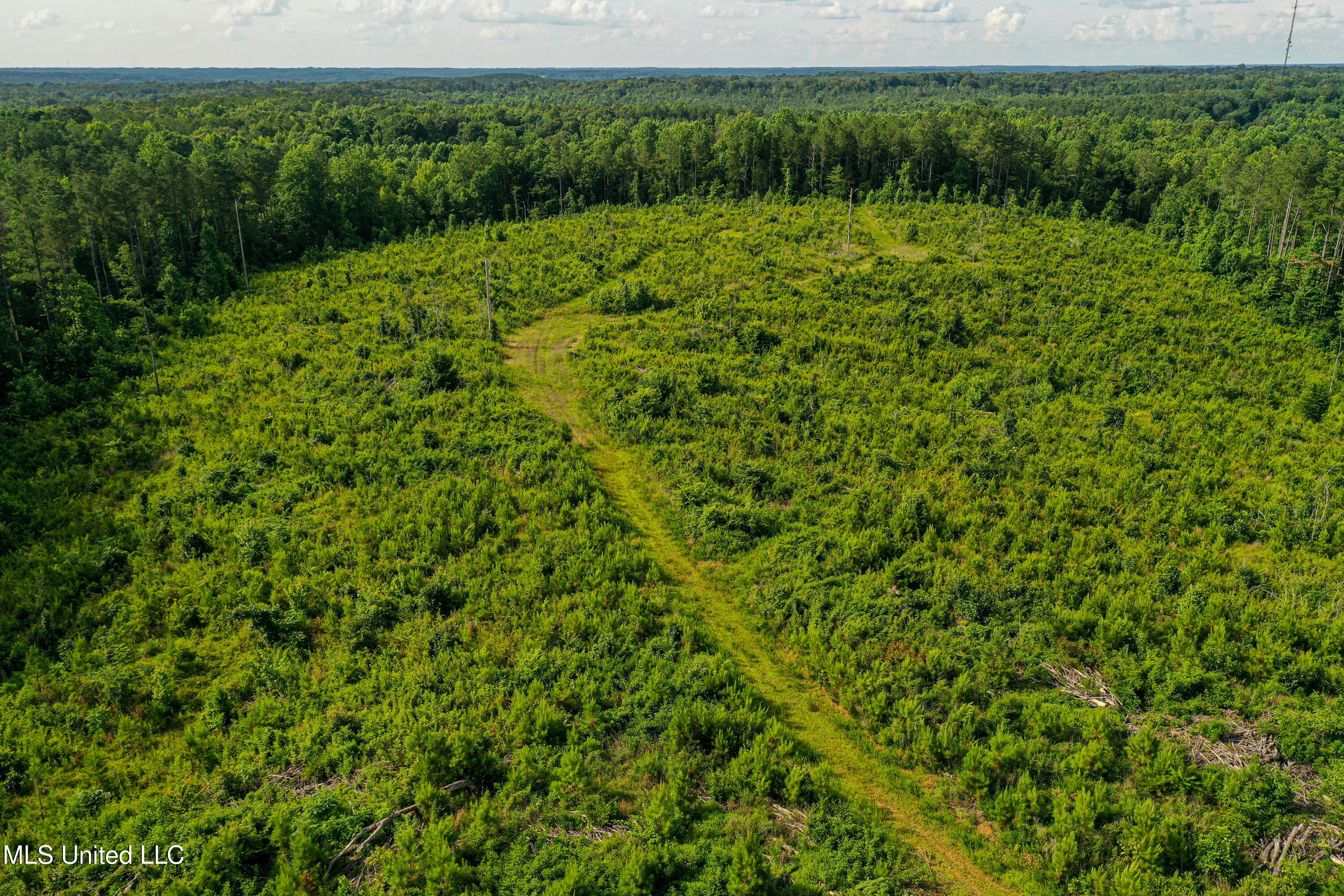 2 Garrett Creek Loop Pontotoc, MS 38863 - Photo 15 of 47 DJI_0244
