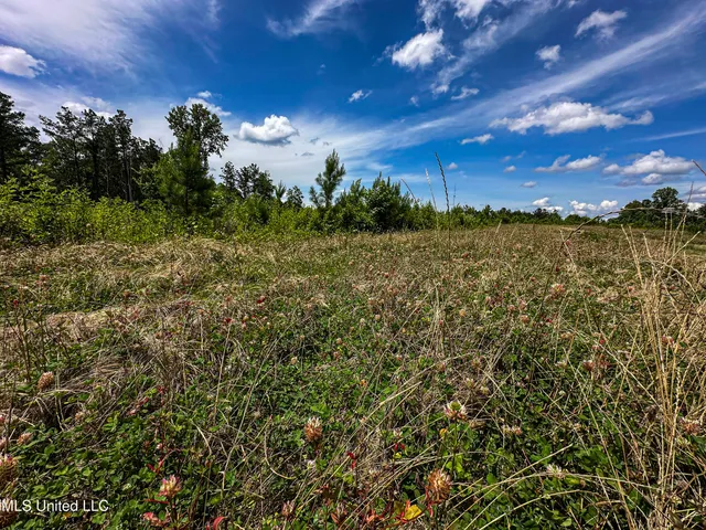 $547,286 | 2 Garrett Creek Loop, Pontotoc, MS 38863