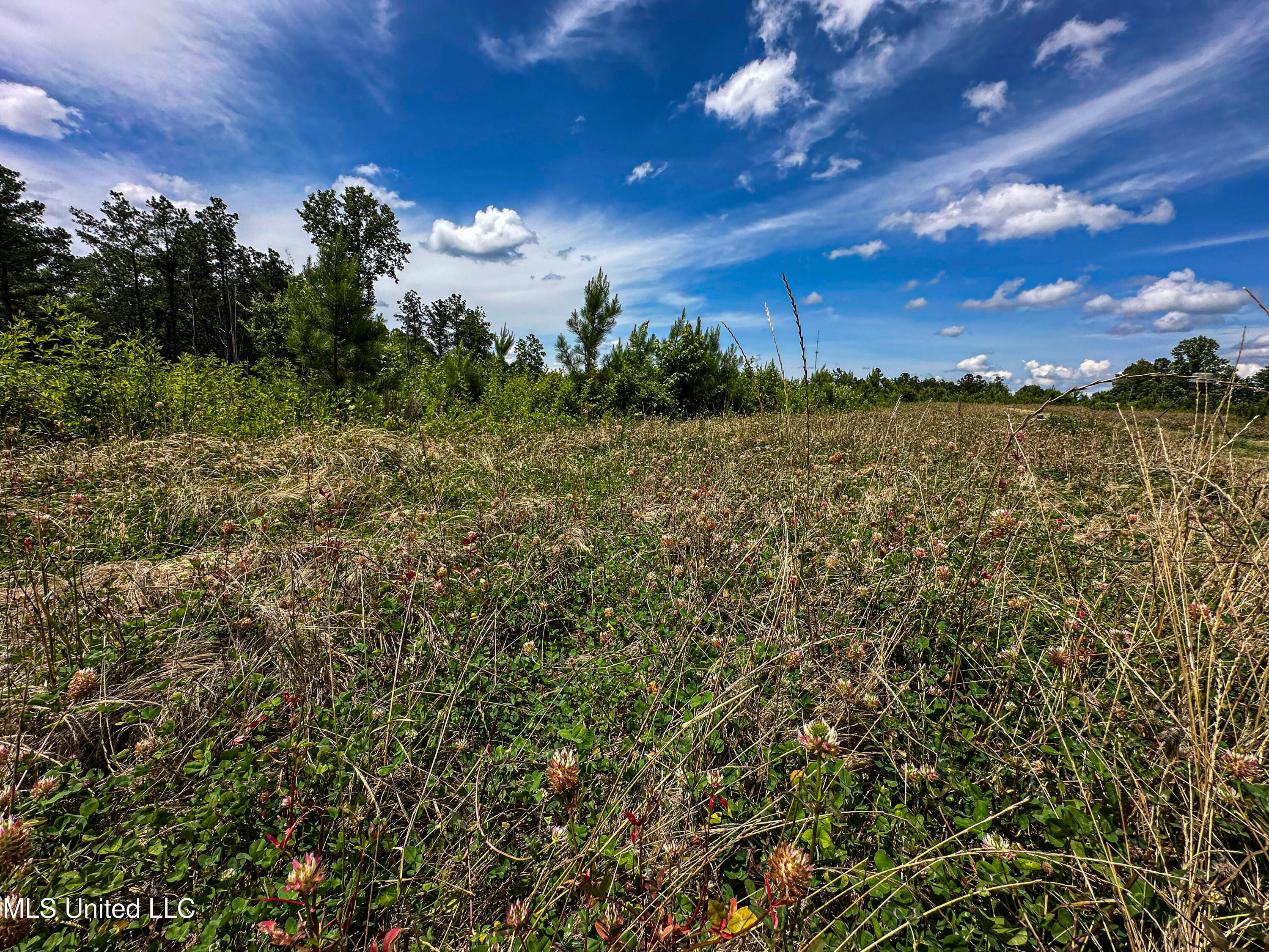 2 Garrett Creek Loop Pontotoc, MS 38863 - Photo 16 of 47 IMG_4600