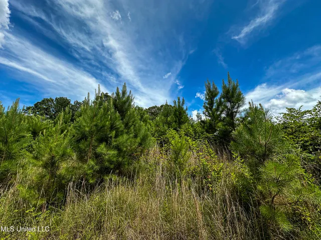 $547,286 | 2 Garrett Creek Loop, Pontotoc, MS 38863