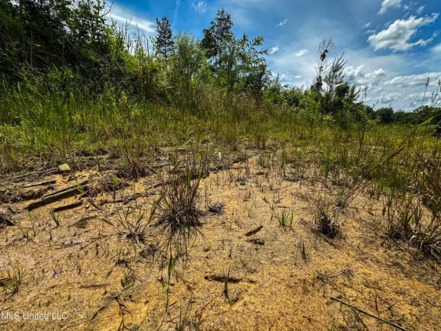 $547,286 | 2 Garrett Creek Loop, Pontotoc, MS 38863