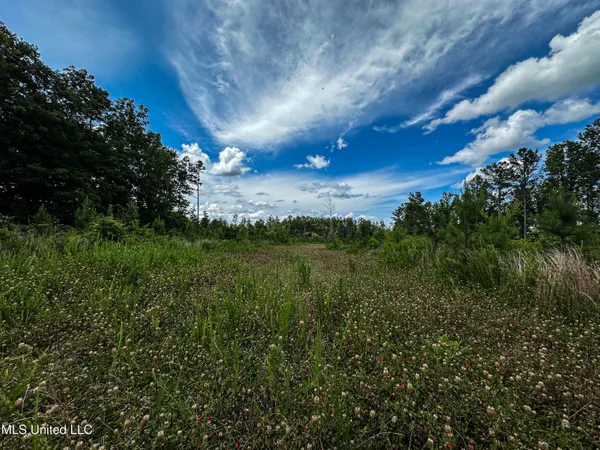 $547,286 | 2 Garrett Creek Loop, Pontotoc, MS 38863