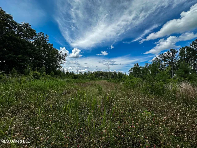 $547,286 | 2 Garrett Creek Loop, Pontotoc, MS 38863