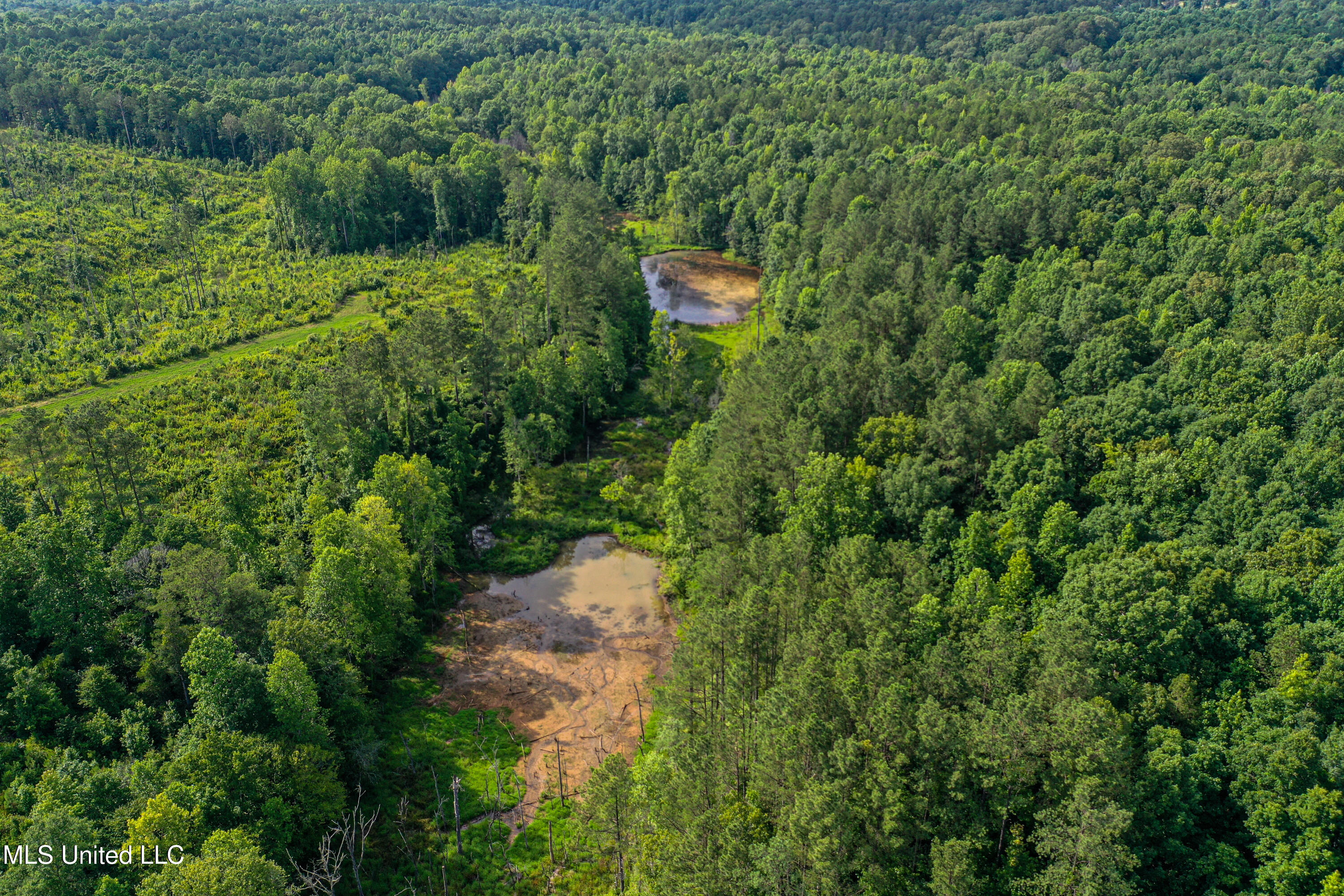 2 Garrett Creek Loop Pontotoc, MS 38863 - Photo 29 of 47 DJI_0251