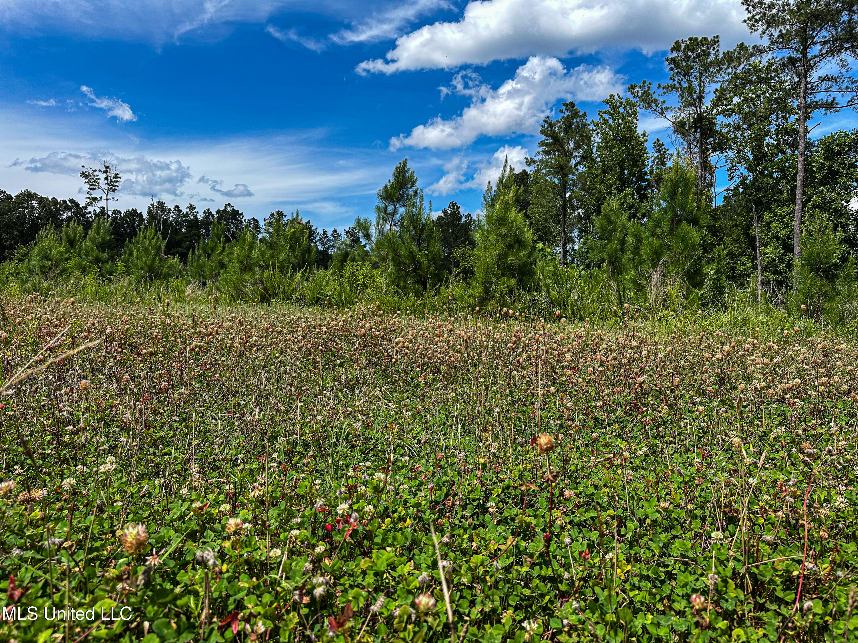 2 Garrett Creek Loop Pontotoc, MS 38863 - Photo 30 of 47 IMG_4609