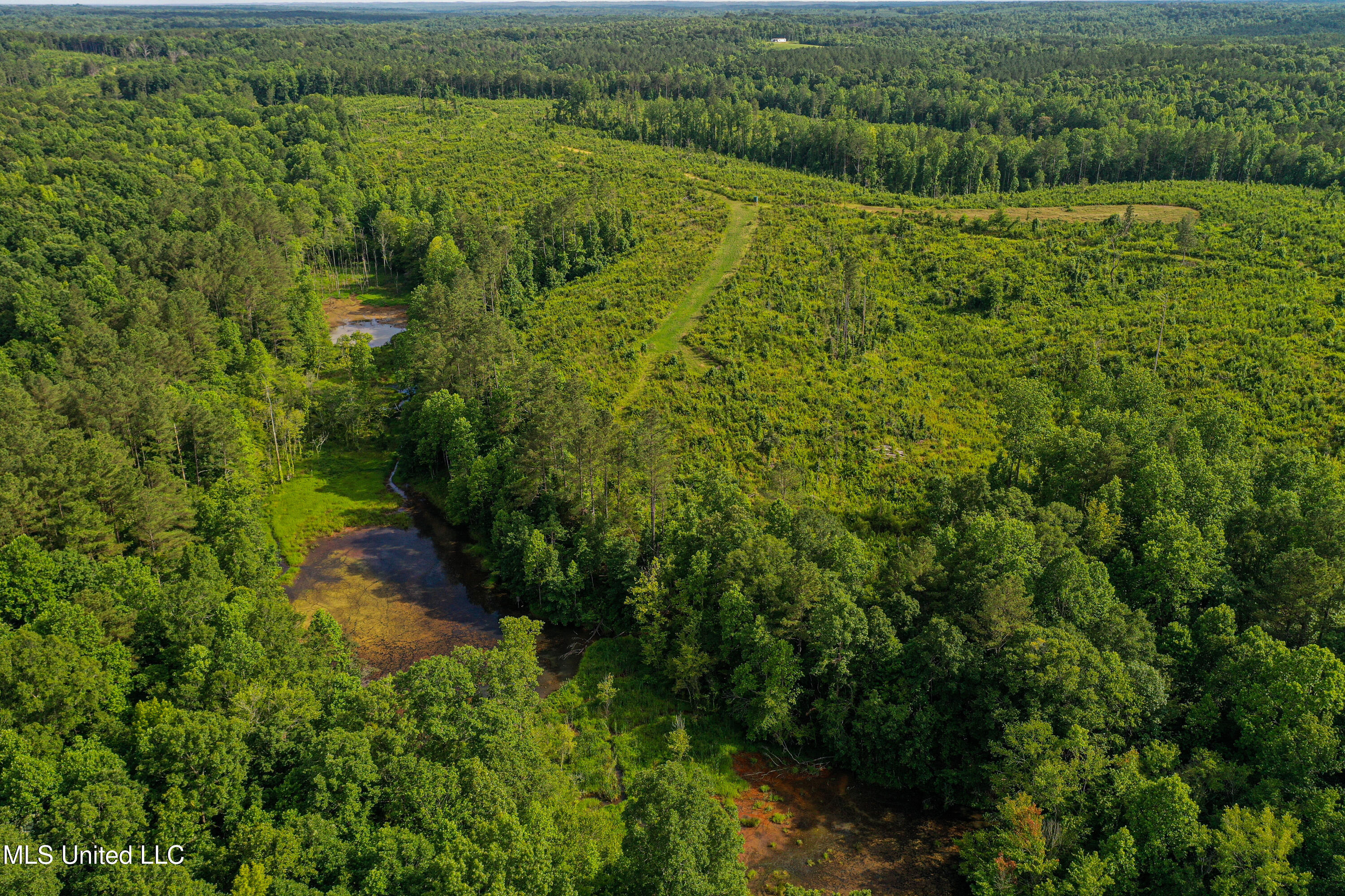 2 Garrett Creek Loop Pontotoc, MS 38863 - Photo 3 of 47 AVO28115Hb1003 Main Photo