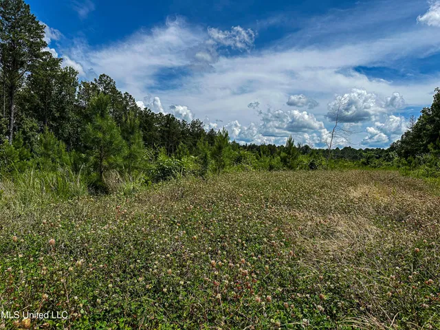 $547,286 | 2 Garrett Creek Loop, Pontotoc, MS 38863