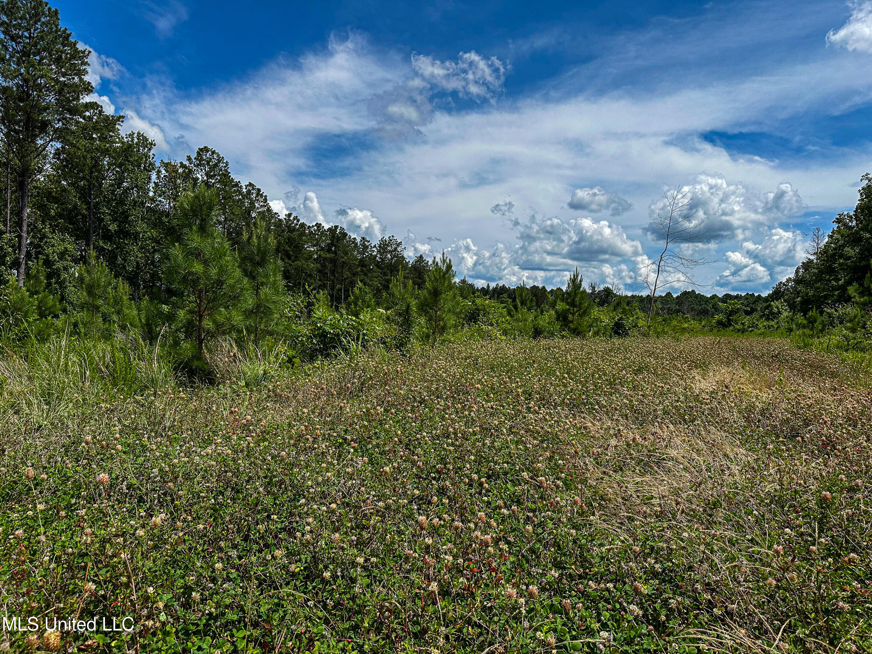 2 Garrett Creek Loop Pontotoc, MS 38863 - Photo 32 of 47 IMG_4610