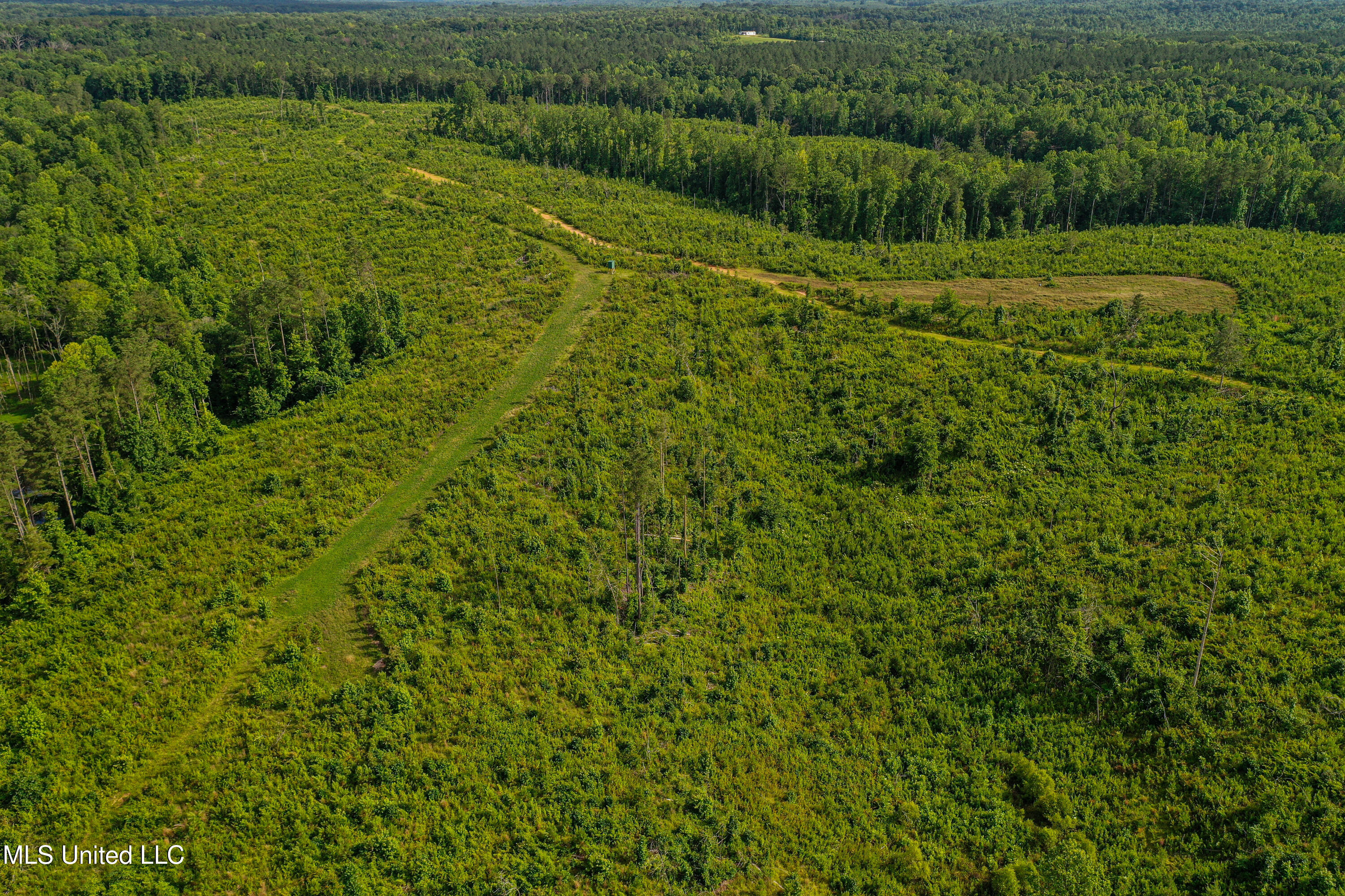 2 Garrett Creek Loop Pontotoc, MS 38863 - Photo 33 of 47 DJI_0254