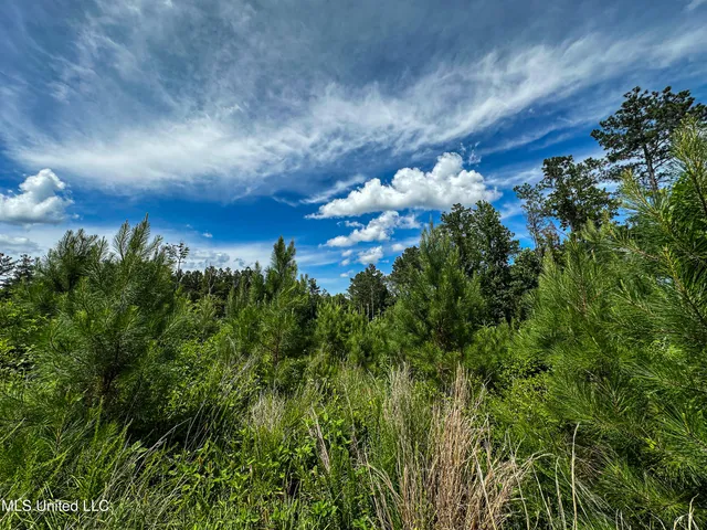 $547,286 | 2 Garrett Creek Loop, Pontotoc, MS 38863