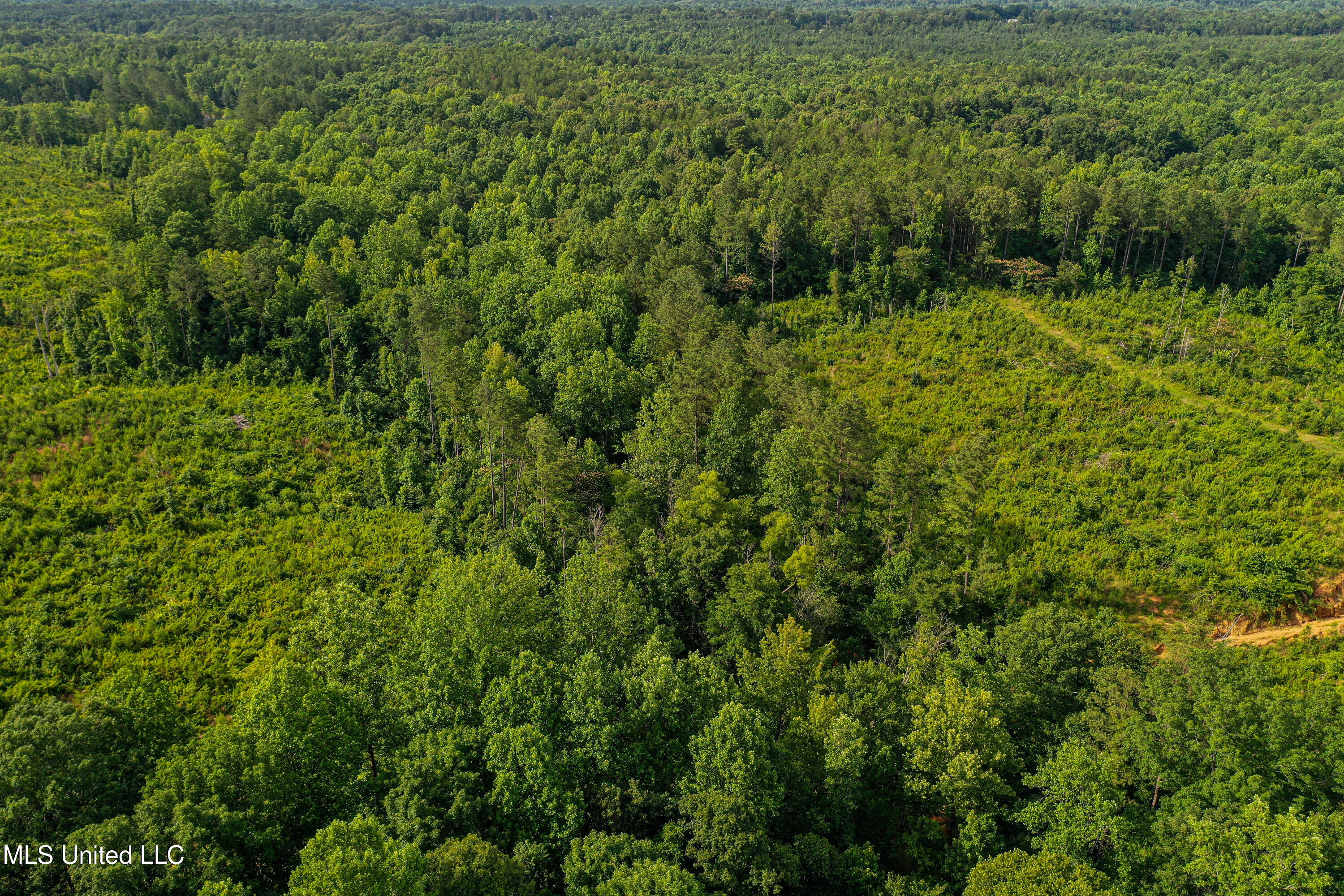 2 Garrett Creek Loop Pontotoc, MS 38863 - Photo 39 of 47 DJI_0260