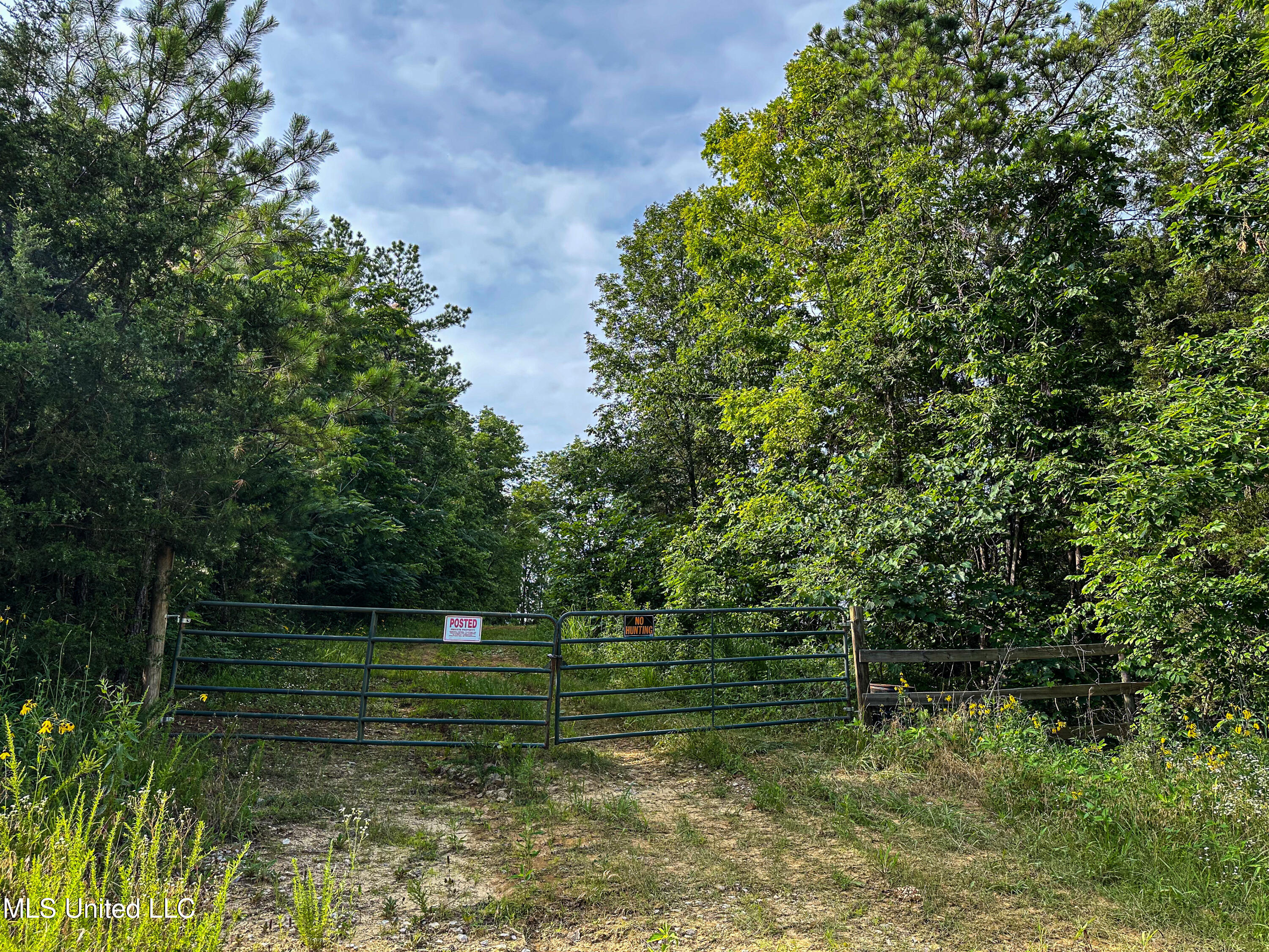 2 Garrett Creek Loop Pontotoc, MS 38863 - Photo 46 of 47 IMG_4615