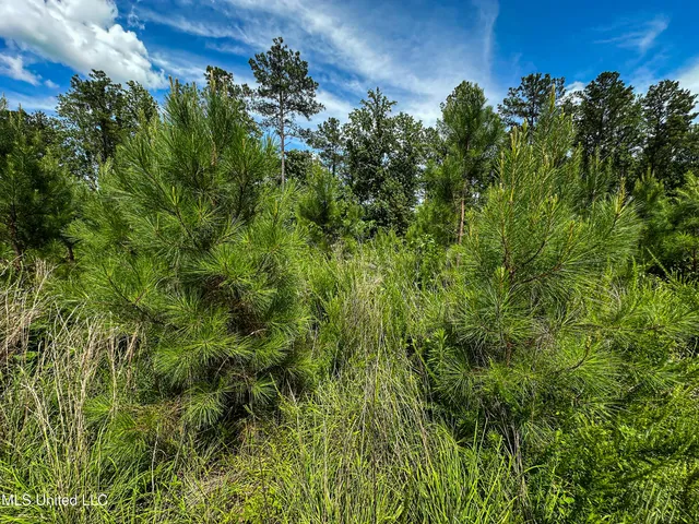 $547,286 | 2 Garrett Creek Loop, Pontotoc, MS 38863