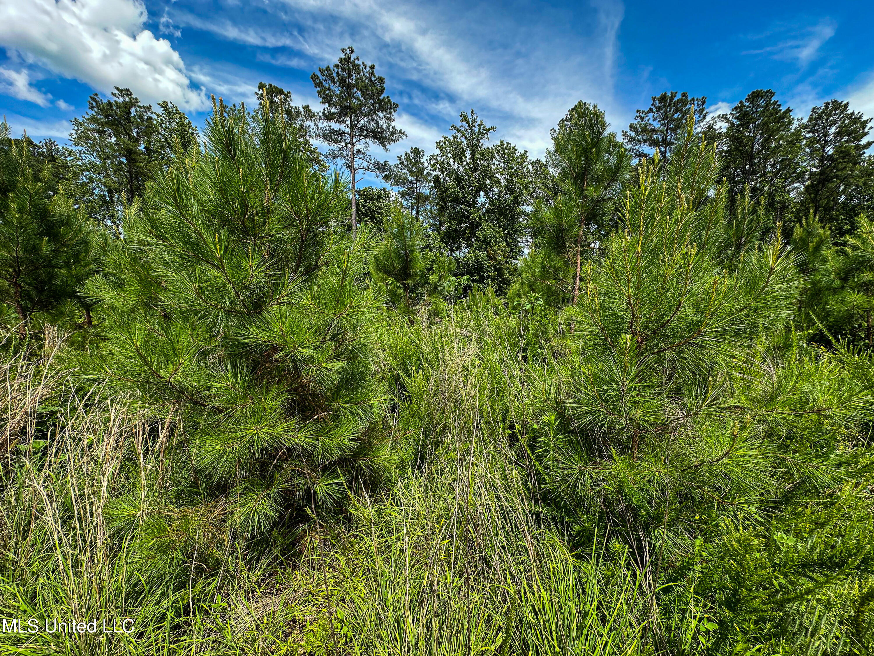 2 Garrett Creek Loop Pontotoc, MS 38863 - Photo 5 of 47 IMG_4613