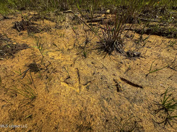 $547,286 | 2 Garrett Creek Loop, Pontotoc, MS 38863