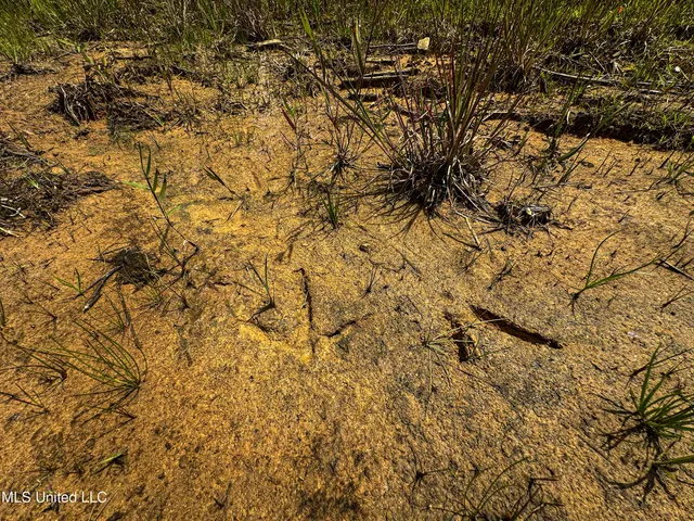 $547,286 | 2 Garrett Creek Loop, Pontotoc, MS 38863