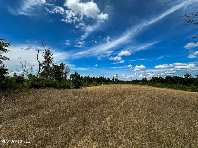 $547,286 | 2 Garrett Creek Loop, Pontotoc, MS 38863