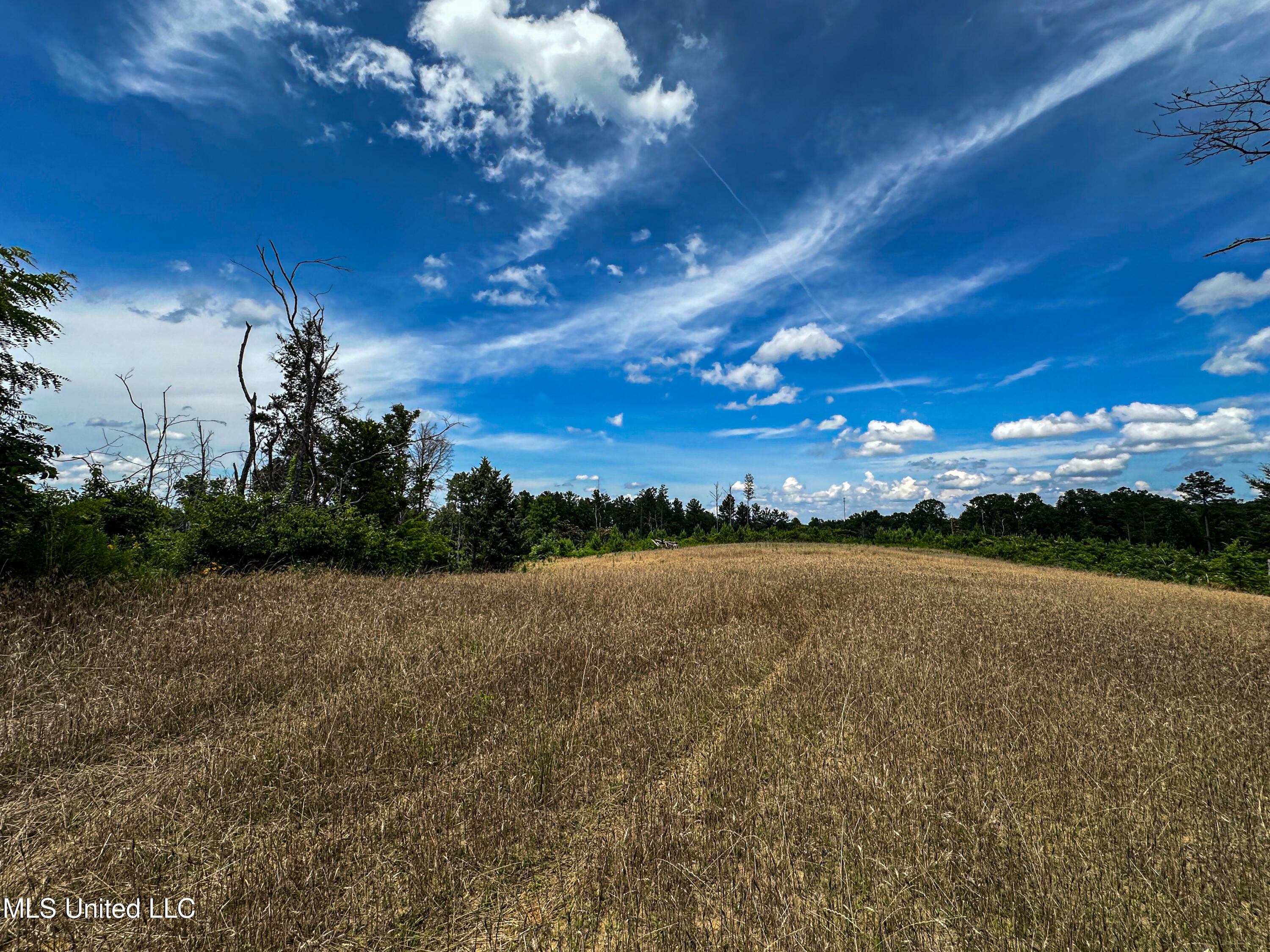 2 Garrett Creek Loop Pontotoc, MS 38863 - Photo 10 of 47 IMG_4597