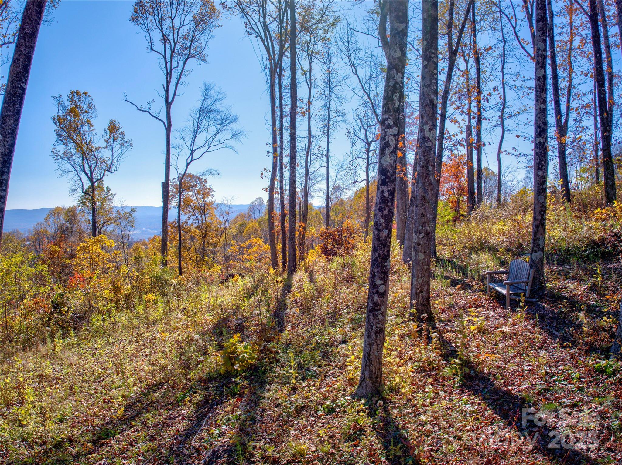 7 Green Laurel Trail, Unit 13 Fletcher, NC 28732 - Photo 12 of 34 a view of a backyard of the house