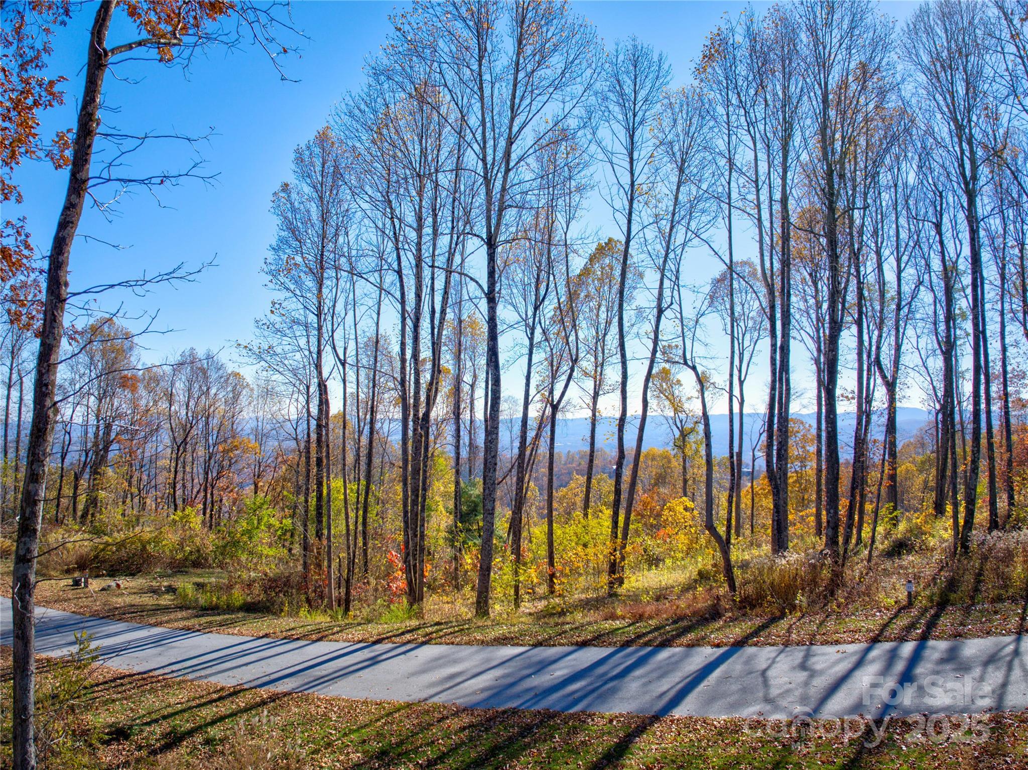 7 Green Laurel Trail, Unit 13 Fletcher, NC 28732 - Photo 15 of 34 a view of a backyard