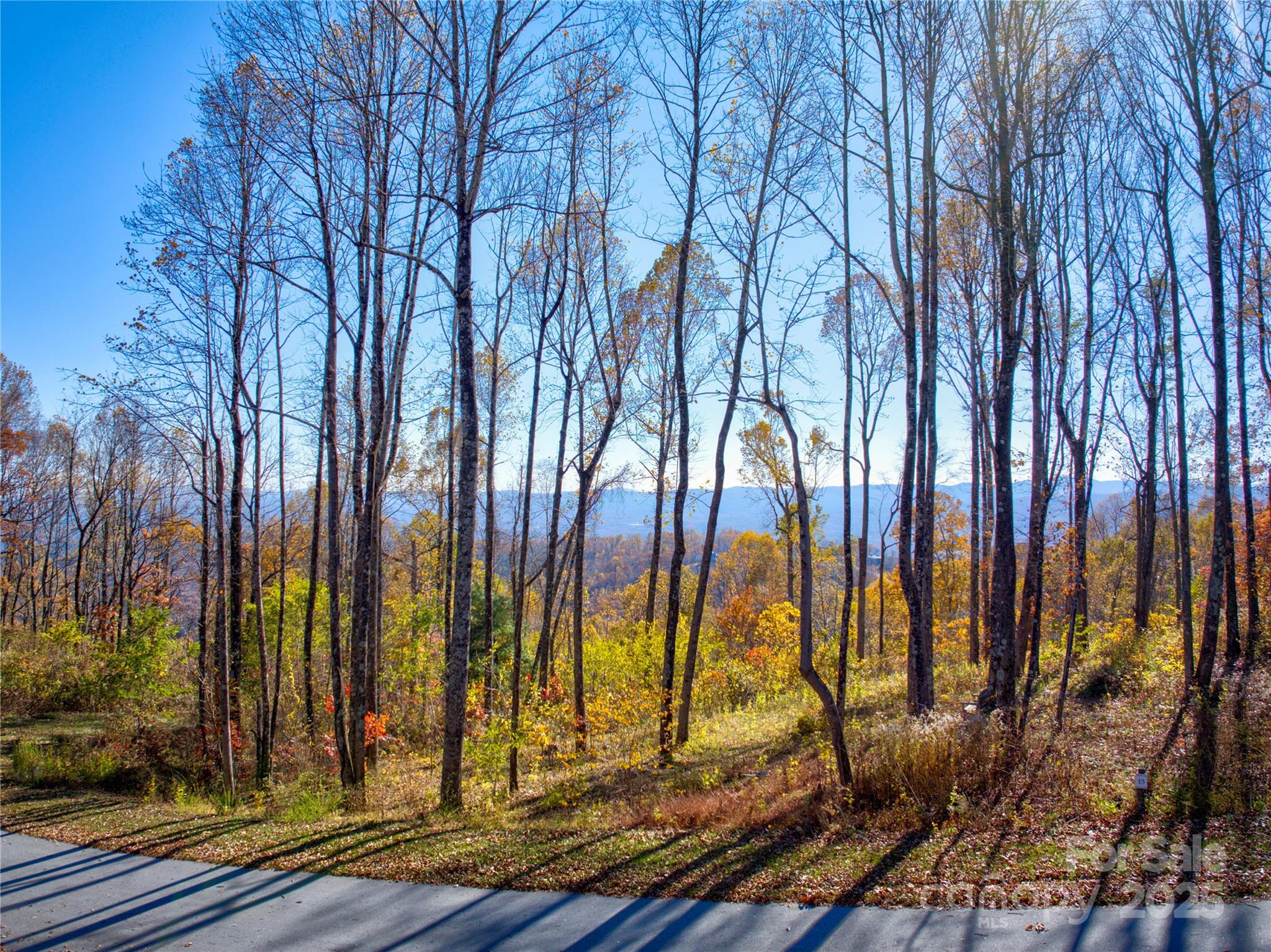7 Green Laurel Trail, Unit 13 Fletcher, NC 28732 - Photo 16 of 34 a view of outdoor space with street view