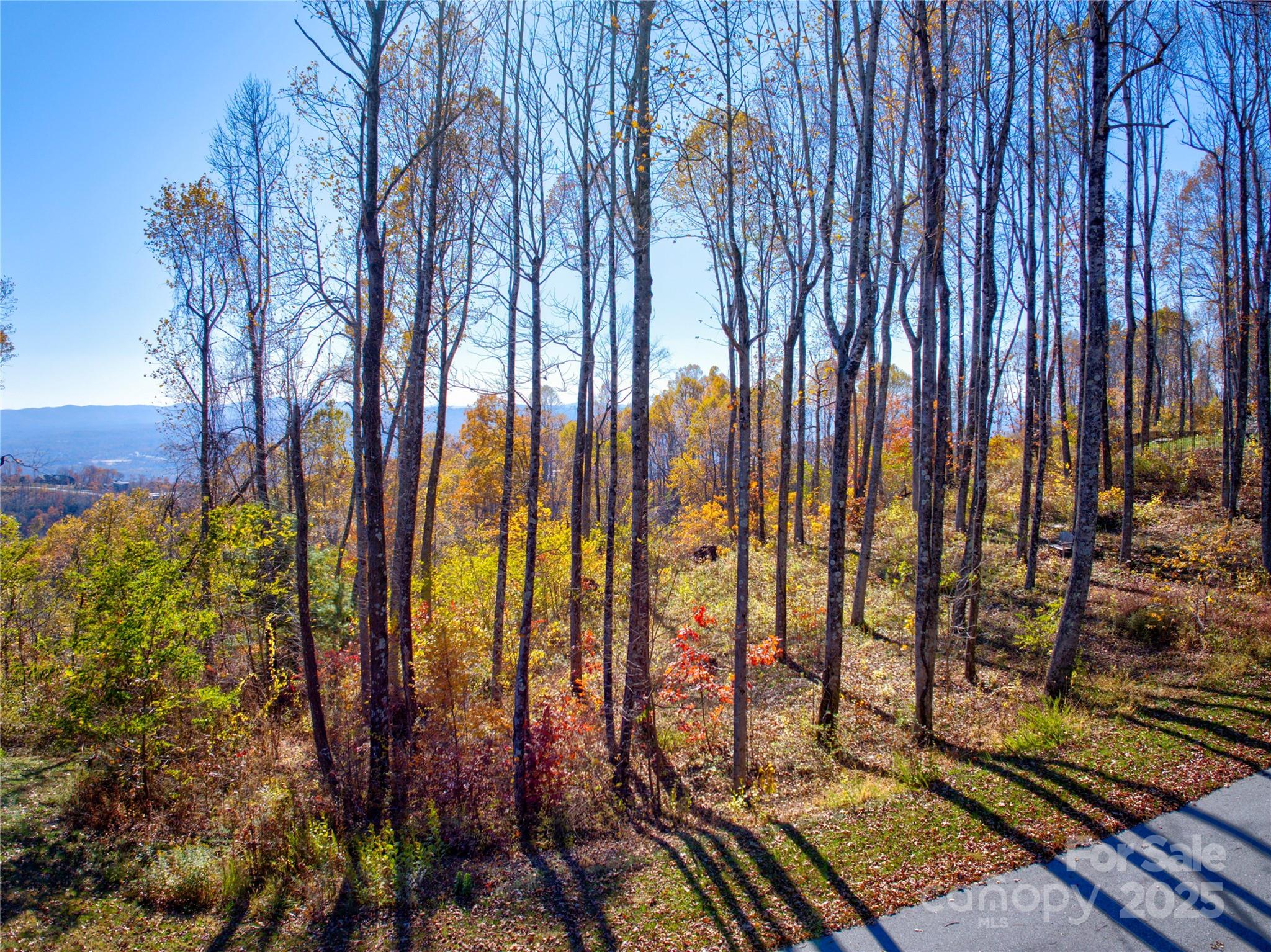 7 Green Laurel Trail, Unit 13 Fletcher, NC 28732 - Photo 17 of 34 a view of outdoor space with garden
