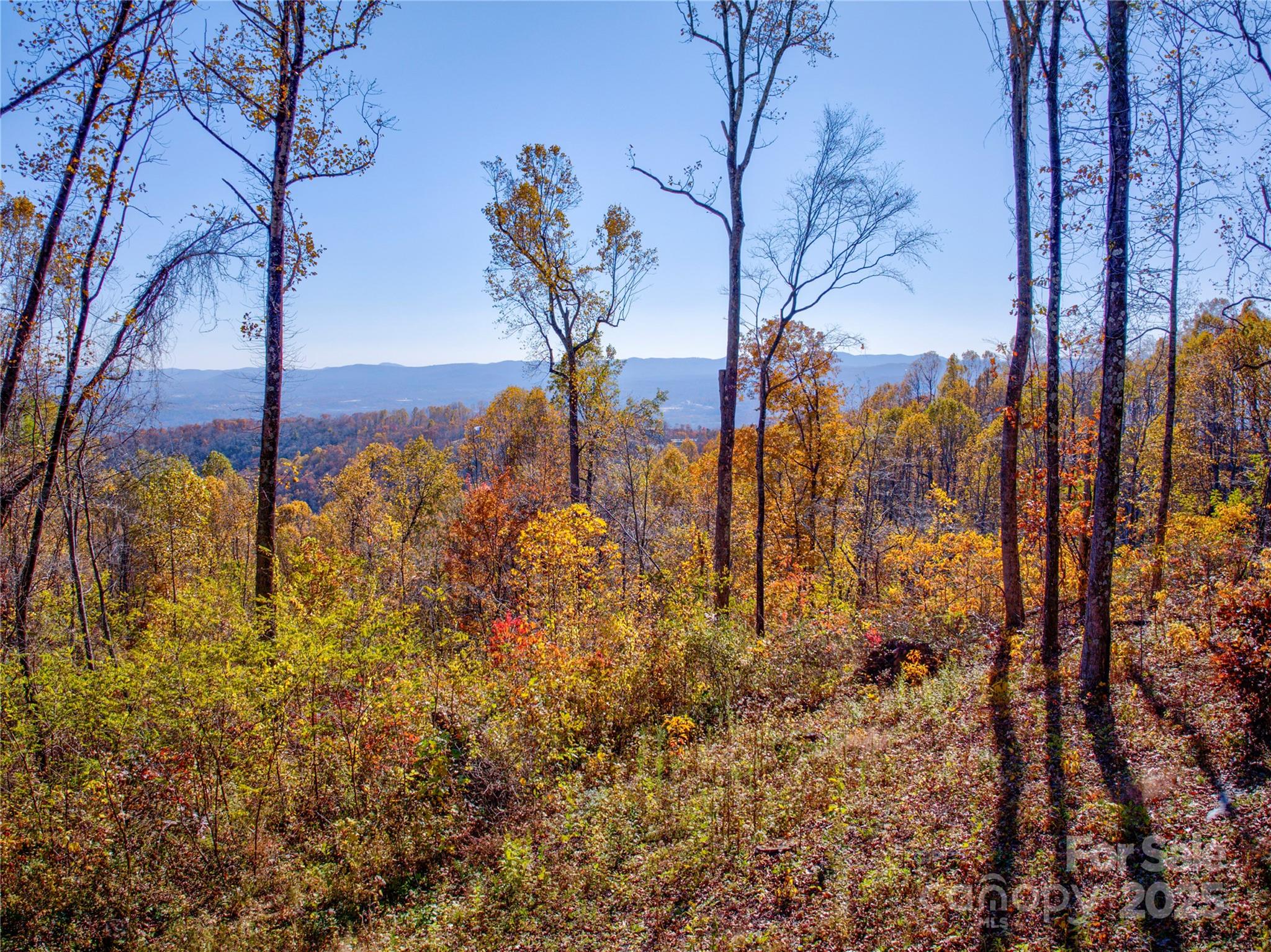 7 Green Laurel Trail, Unit 13 Fletcher, NC 28732 - Photo 2 of 34 a view of a yard of the house
