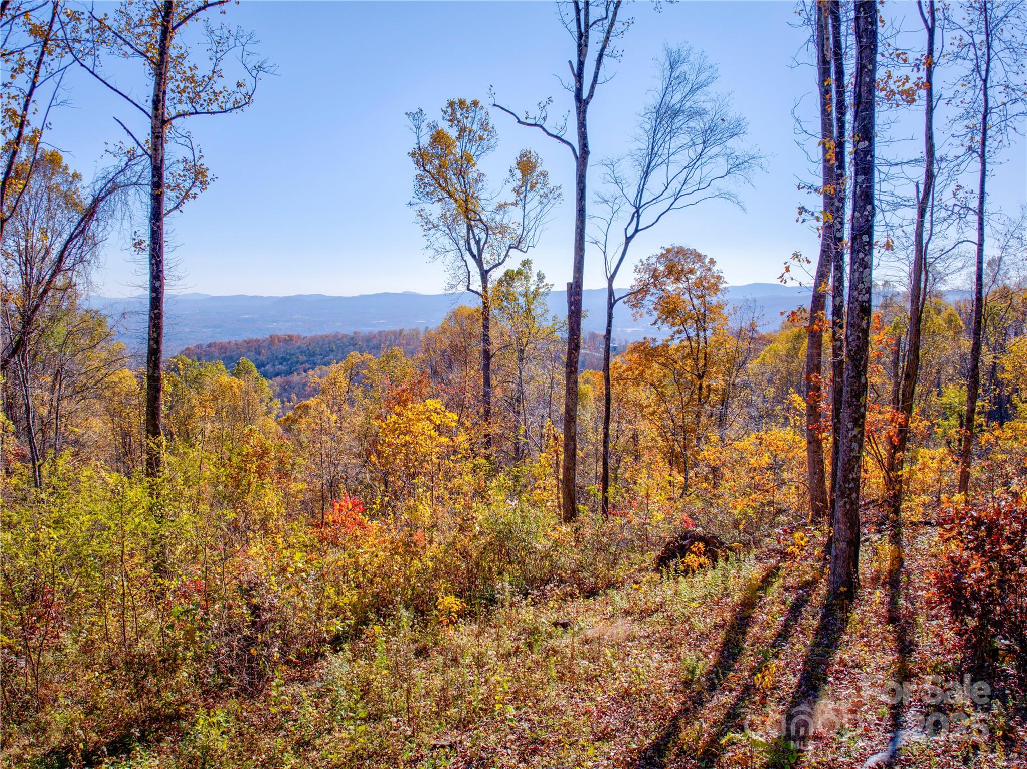 7 Green Laurel Trail, Unit 13 Fletcher, NC 28732 - Photo 25 of 34 a view of a yard with plants and trees
