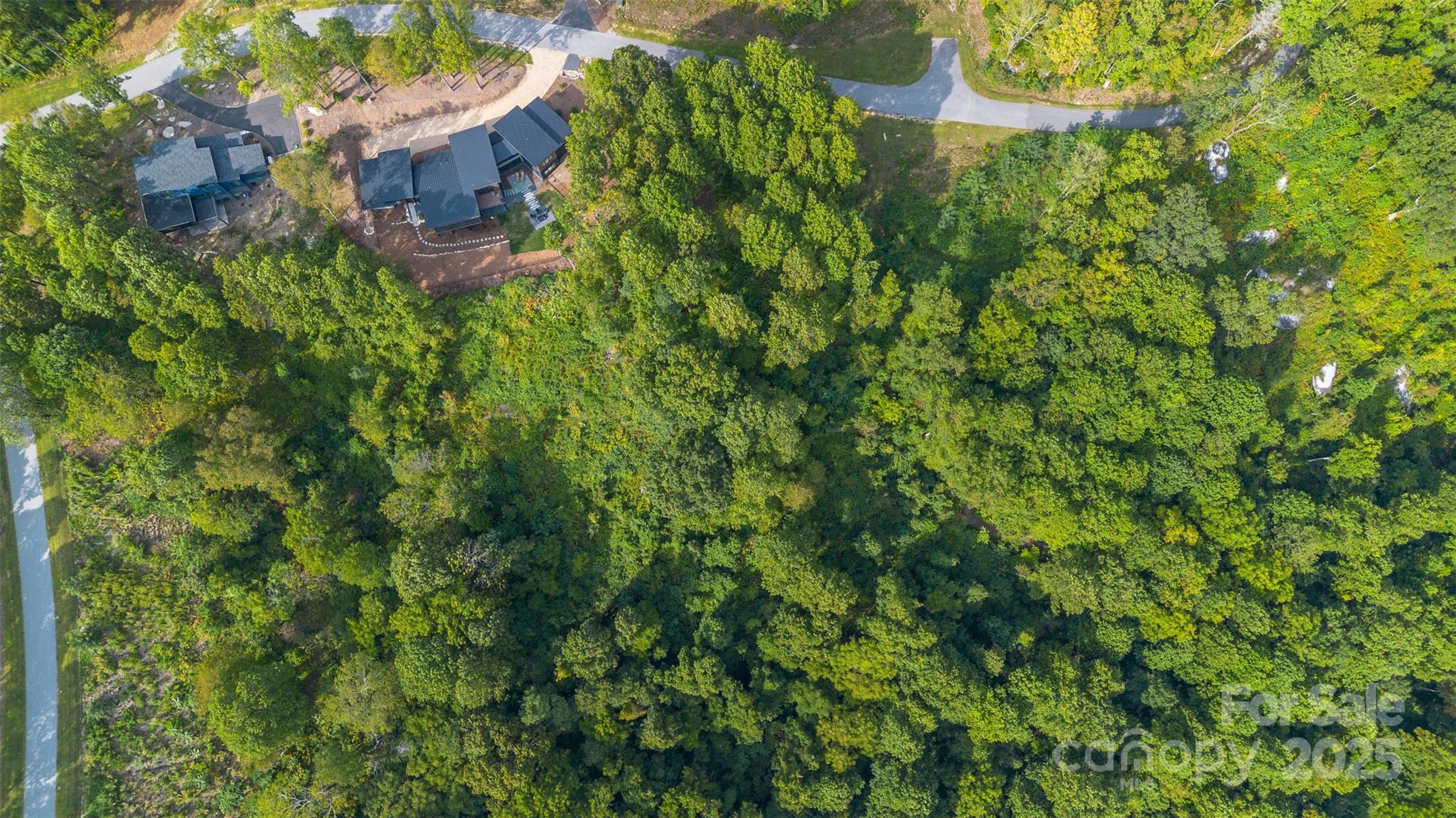 7 Green Laurel Trail, Unit 13 Fletcher, NC 28732 - Photo 30 of 34 a view of a garden with a tree