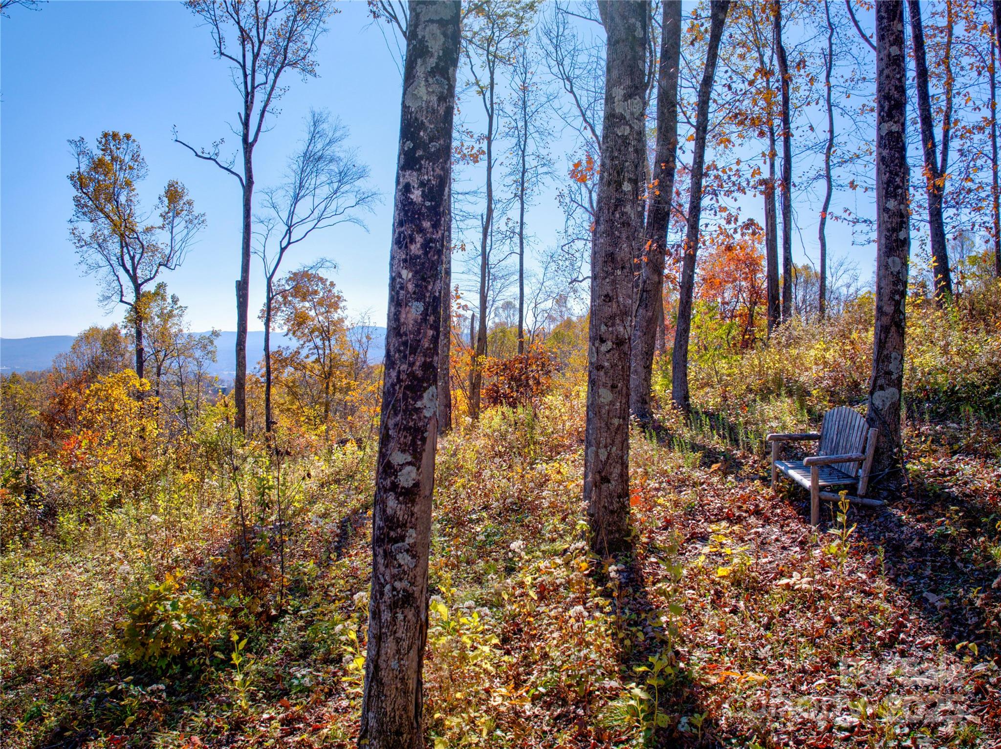 7 Green Laurel Trail, Unit 13 Fletcher, NC 28732 - Photo 5 of 34 a view of a yard with plants and trees