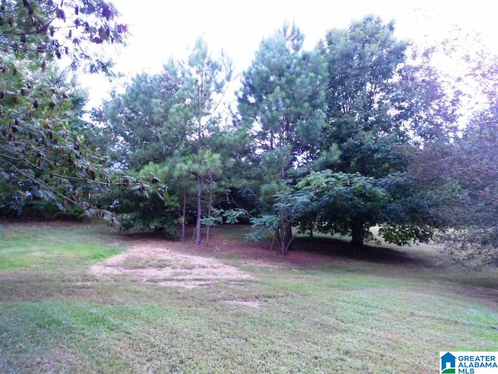 9585 Norgate Road Warrior, AL 35180 - Photo 7 of 29 Gallery Image 7