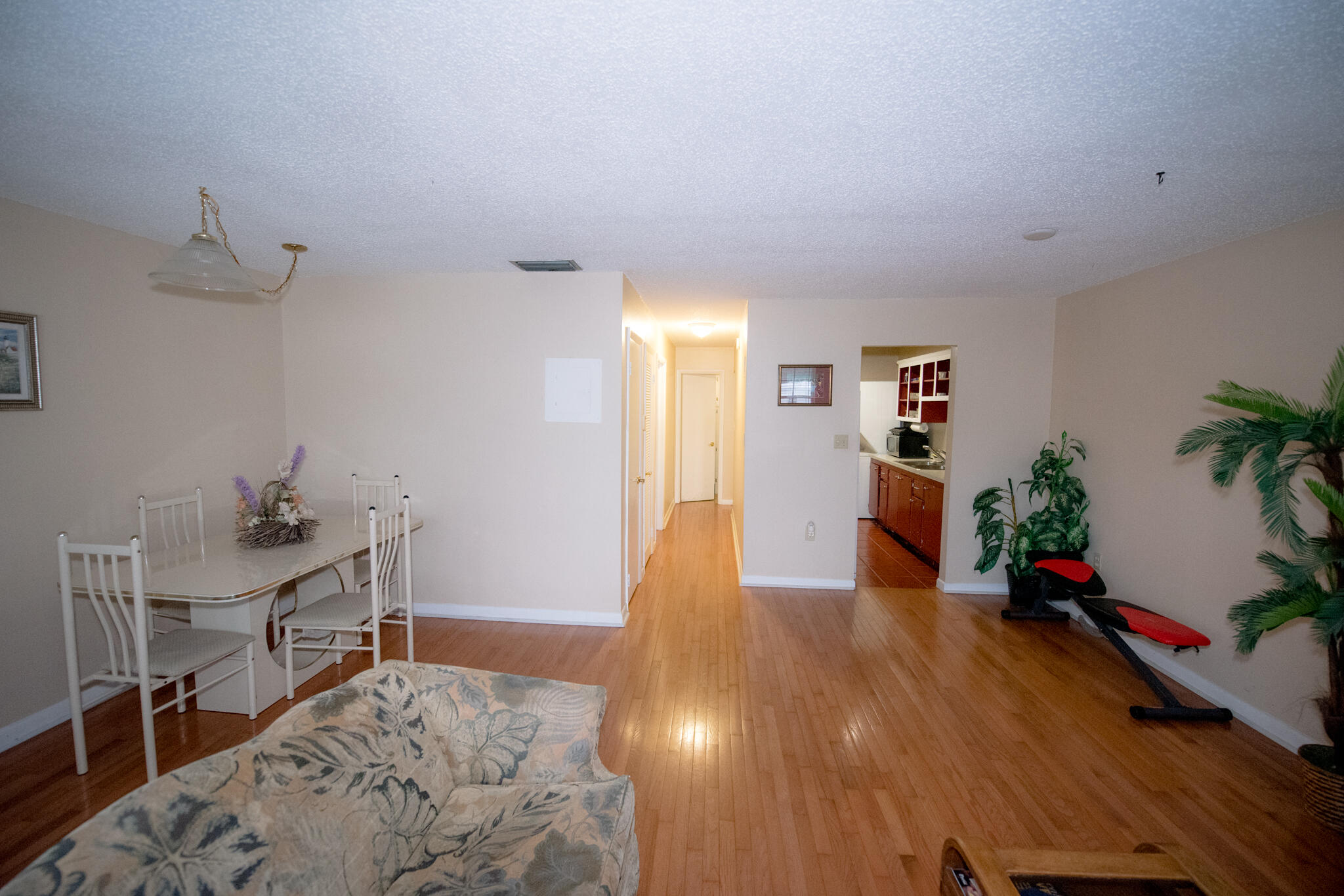 40 High Point Road, Unit F205 Tavernier, FL 33070 - Photo 7 of 14 a living room with furniture and a potted plant