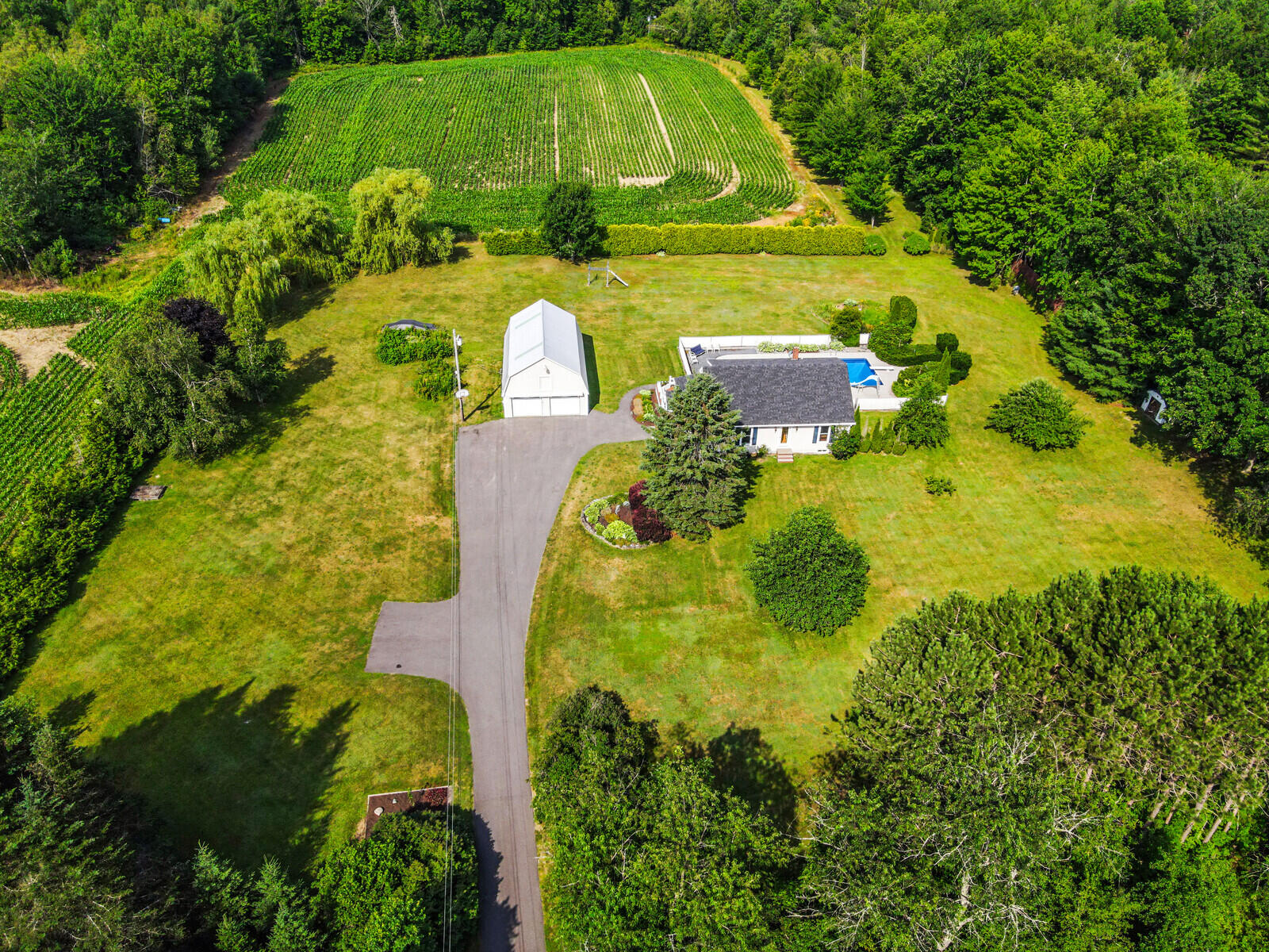 43 Berry Road Pittsfield, ME 04967 - Photo 6 of 78 43 Berry Road Pittsfield