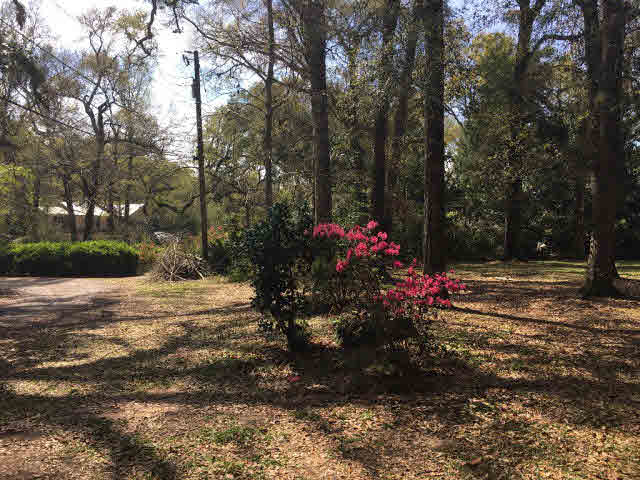 24279 Lake Drive Daphne, AL 36526 - Photo 8 of 9
