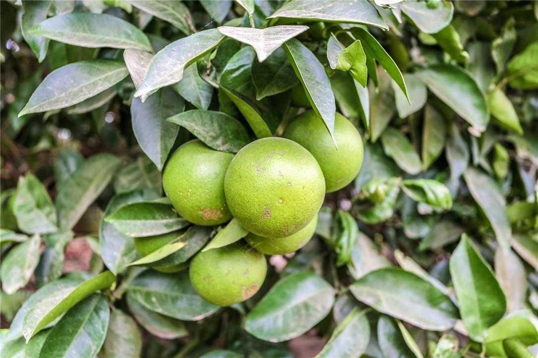 26595 Lebleu Road Kinder, LA 70648 - Photo 22 of 35