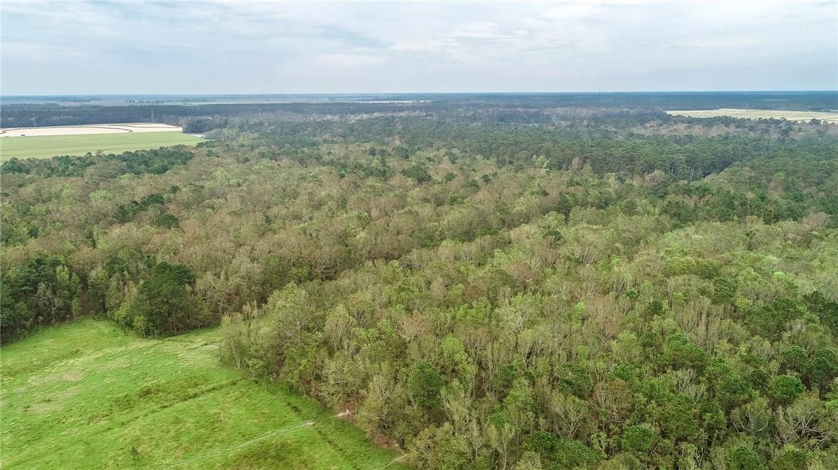 26595 Lebleu Road Kinder, LA 70648 - Photo 25 of 35