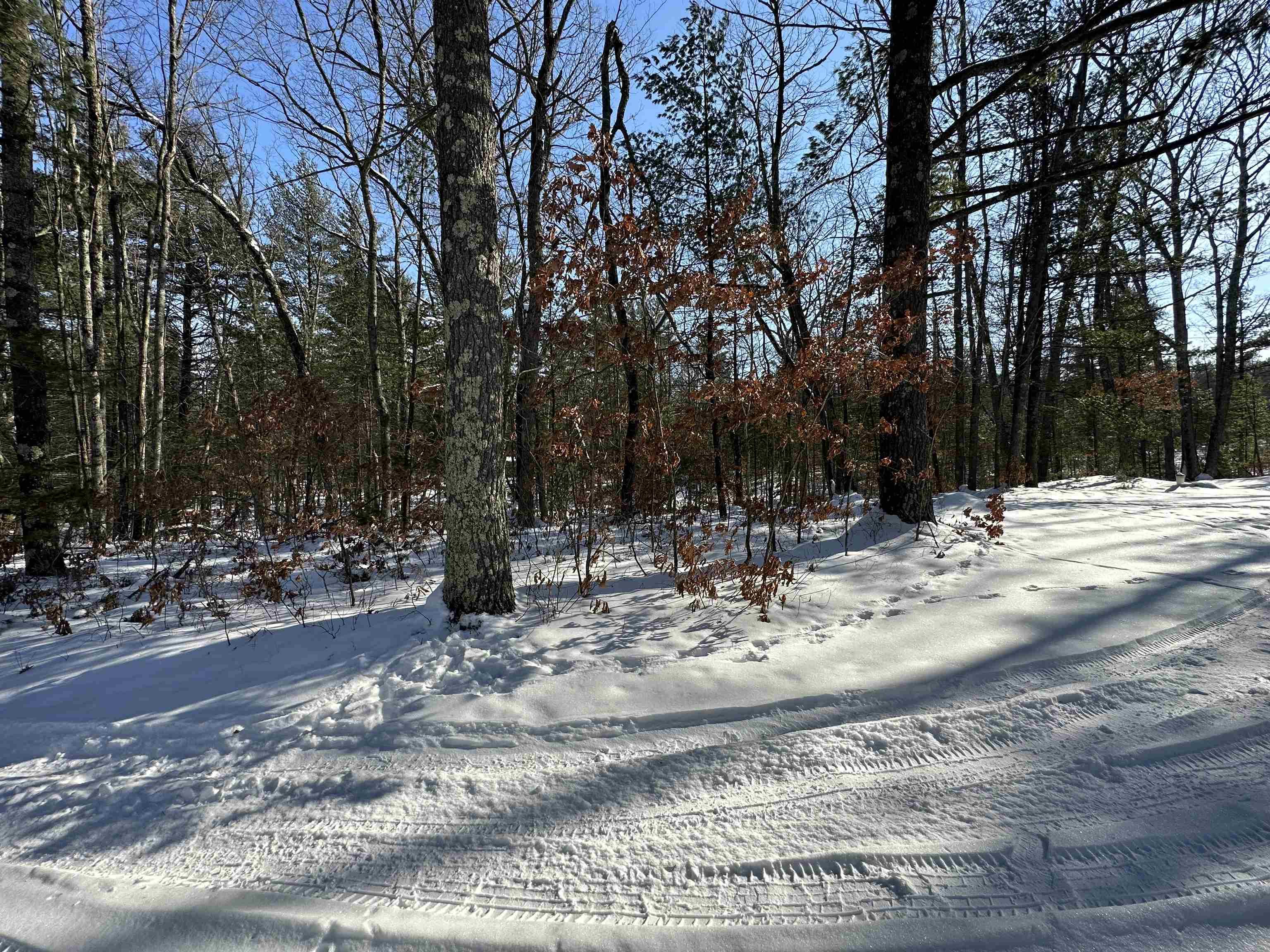 6980 Stephan Bridge Road Roscommon, MI 48653 - Photo 31 of 35 Gallery Image 31