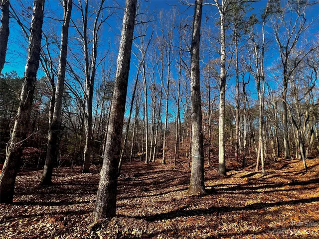 a view of a back yard of the house